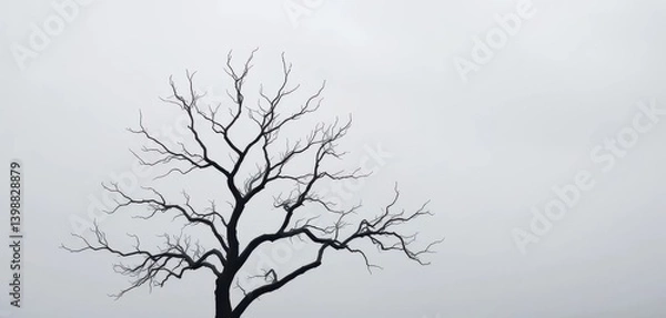 Obraz Stark, leafless tree silhouetted against a desolate, grey sky, harsh, desolate