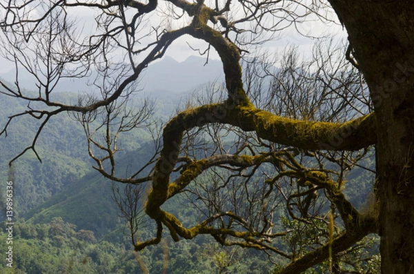 Obraz Top view of Mountain, Khao chang puak, Kanchanaburi, Thailand