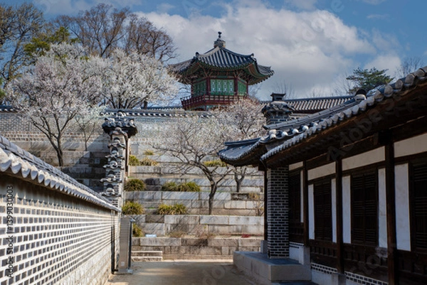 Fototapeta 고궁의 봄