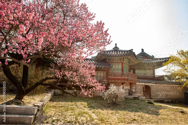 Fototapeta 고궁의 봄