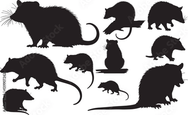 Fototapeta Opossum Silhouettes