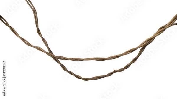 Fototapeta Twisted wild liana jungle vine isolated on white background, clipping path included