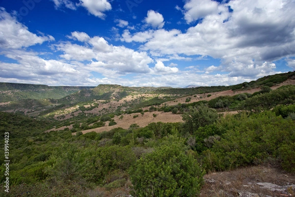 Fototapeta landscape