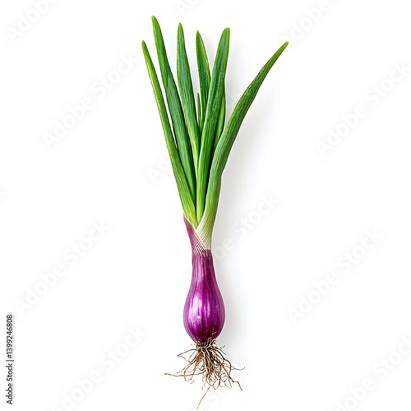 Fototapeta onion isolated on white background
