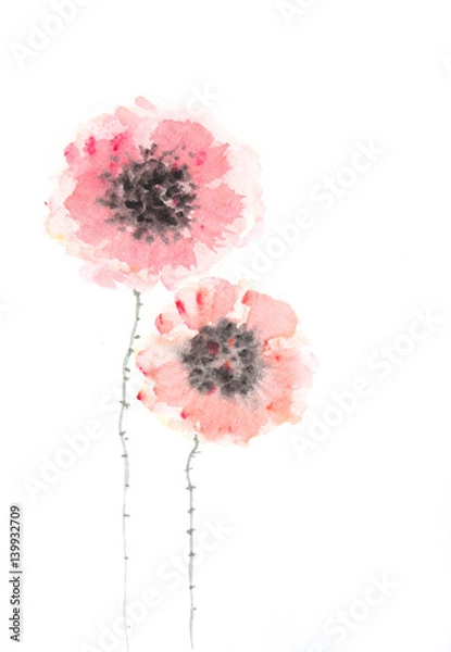 Obraz Stylized poppy flowers on white, Hand painted