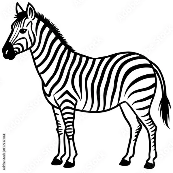 Fototapeta zebra vector illustration