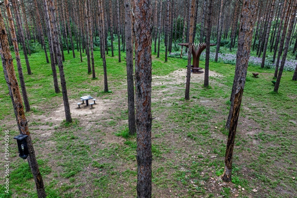 Obraz Small Forest Bathing Beach, Jingyuetan National Forest Park, Changchun, China
