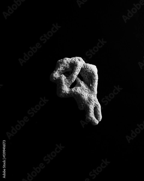 Fototapeta Minimal, abstract, close up of sea coral in black and white on a black background