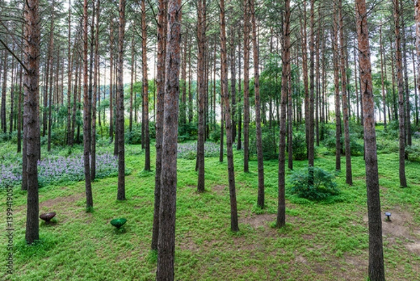 Obraz Small Forest Bathing Beach, Jingyuetan National Forest Park, Changchun, China