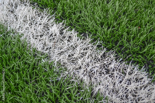 Obraz Close up artificial grass