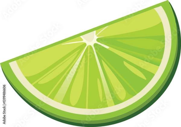 Obraz  Lime slice isolated vector art work illustration