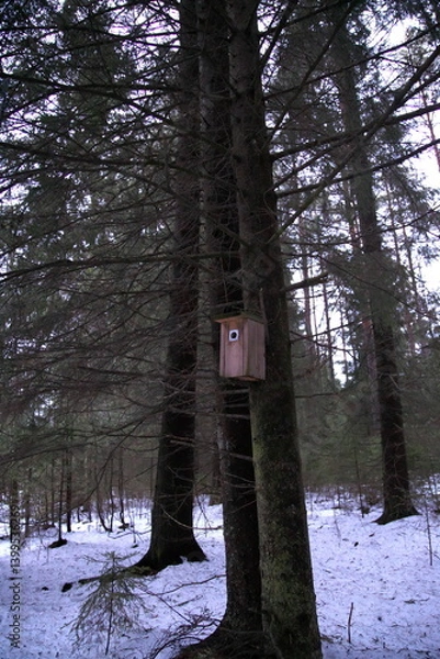 Obraz 北欧の森の巣箱縦向き