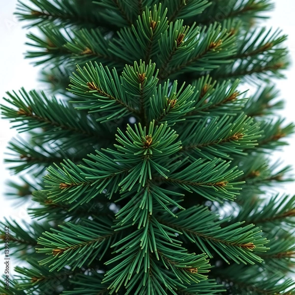 Fototapeta christmas tree branch