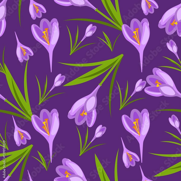 Fototapeta Purple crocuses in the snow vector pattern