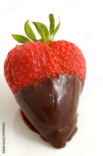 Fototapeta Single Strawberry dipped in chocolate
