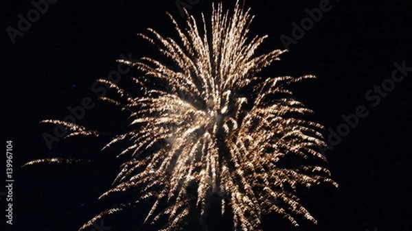 Obraz Summer fireworks