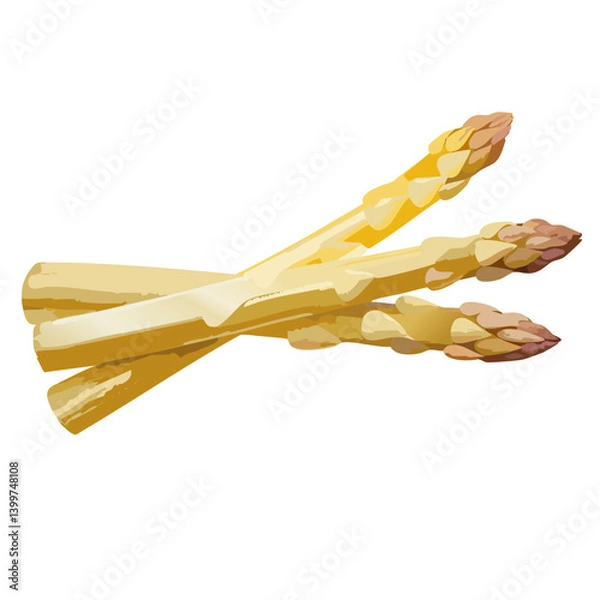 Obraz fresh white asparagus vector icon design
