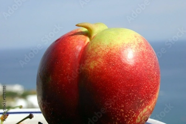 Obraz geburt eines pinguins