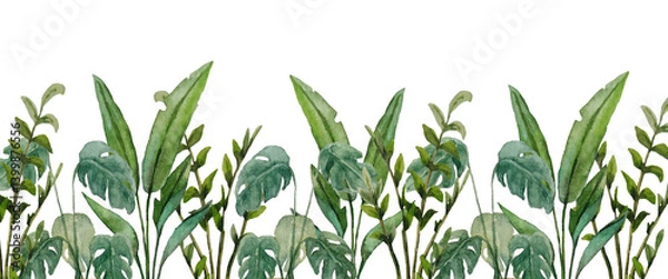 Obraz Watercolor banner tropical leaves. Tropical plants. For design, backgrounds