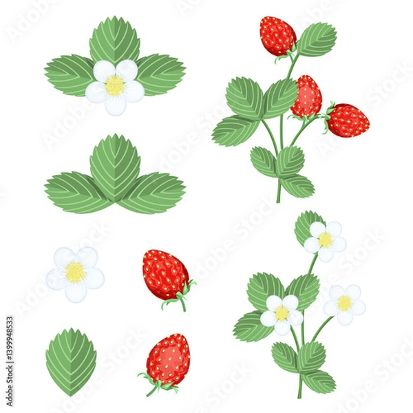 Obraz A set of strawberries,bushes in bloom,with berries,individual elements isolated on a white background.Vector collection for summer designs,strawberry packages.