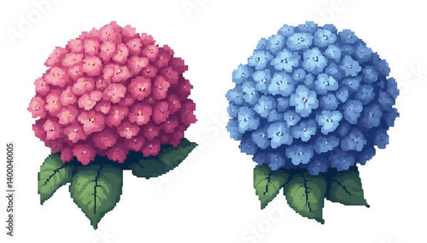 Fototapeta Colorful hydrangea clipart artwork nature setting floral decorative design vibrant environment artistic viewpoint,isolated,transparent background,cut out