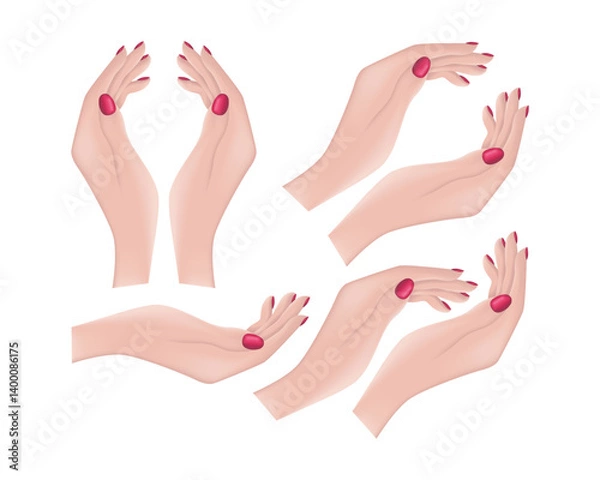 Obraz Female hands. An image of beautiful female hands. The hands of a woman with painted nails. The girl s hands. Vector illustration.