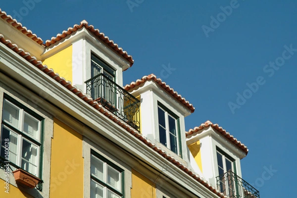 Obraz traditional building