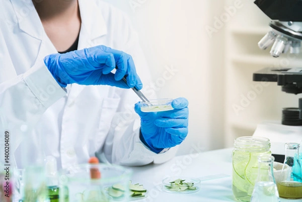 Fototapeta In the laboratory, a scientist in biotechnology used cucumber as a key ingredient in skincare medicine, blending research, innovation, and biology for quality health treatment.