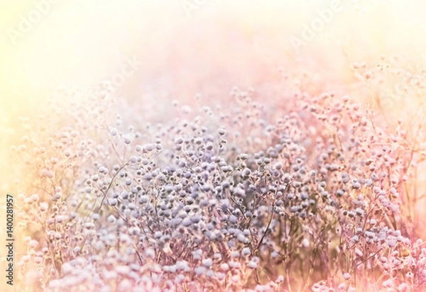 Obraz Little daisy flowers in meadow, beautiful flowers in soft color and blur style for background usage