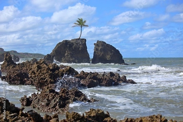 Obraz Solitude of palm tree alone over a dark rock on the beach, crispy waves crashing on rocks making white foam. Tambaba beach in Conde coast near Joao Pessoa, Brazil. 