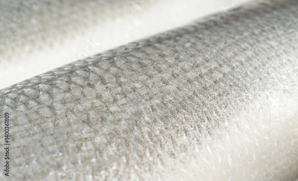 Obraz Fish scales texture background, sea bass skin close up, macro shot of silver labrax scale