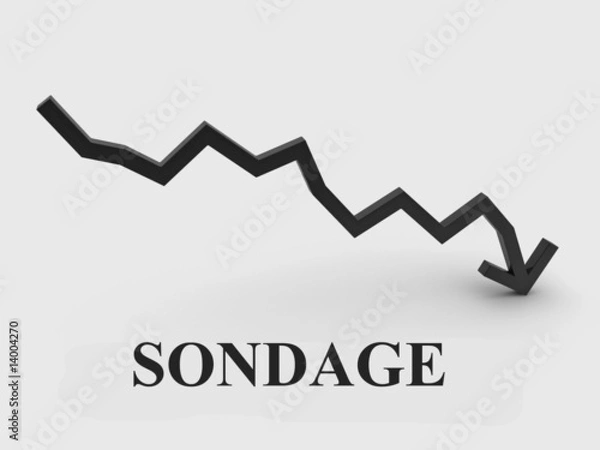 Obraz SONDAGE