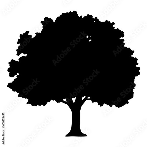 Fototapeta A solitary tree silhouette with expansive crown against a white background