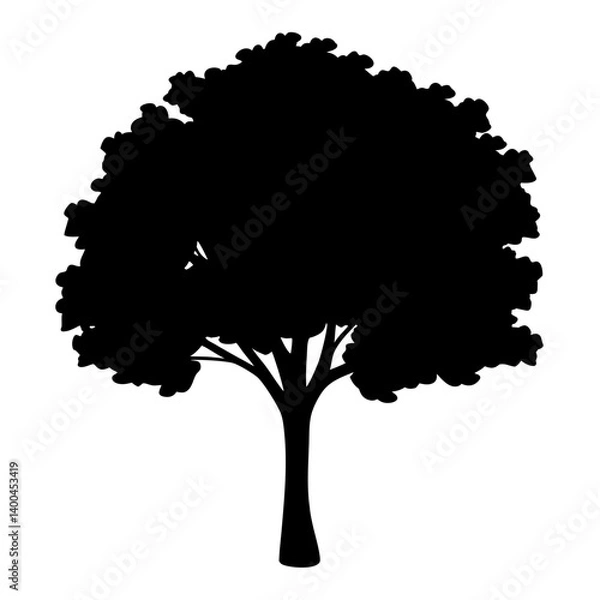 Fototapeta Silhouette of a Lush Tree with Full Canopy on White Background