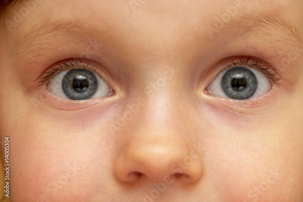 Obraz child's look