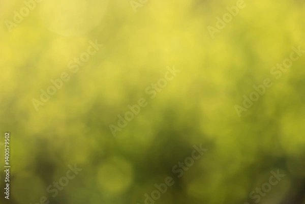 Fototapeta Yellow and green defocused nature background with circular bokeh shapes. Blurred natural texture for design, print and banne