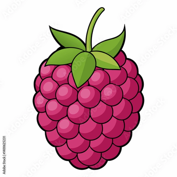 Fototapeta vector illustration of a raspberry