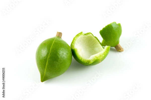 Obraz Macadamia Nuts