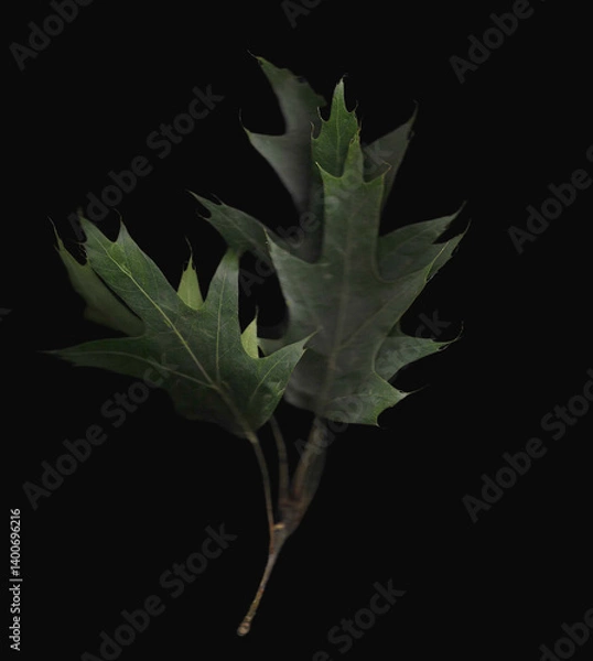 Fototapeta Plane tree branch scan background. Scanned green leaves bouquet. Glitchy abstract distorted plant. Colourful botanical photocopy with scanner noise effect.