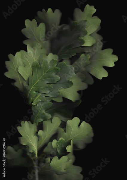 Fototapeta Oak branch scan background. Scanned green tree leaves bouquet. Glitchy abstract distorted plant. Colourful botanical photocopy with scanner noise effect.