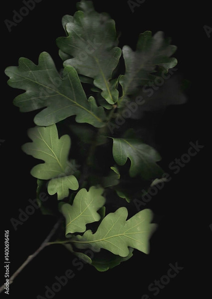 Fototapeta Oak branch scan background. Scanned green tree leaves bouquet. Glitchy abstract distorted plant. Colourful botanical photocopy with scanner noise effect.