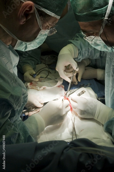 Fototapeta lntervento