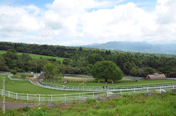 Obraz 八ヶ岳　まきば公園