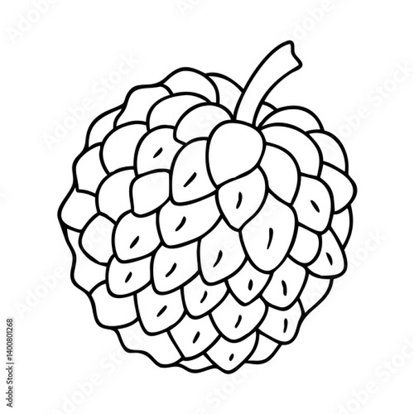 Fototapeta custard apple icon, custard apple vector illustration-simple illustration of custard apple, perfect for custard apple logos and icons