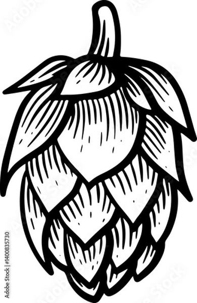 Fototapeta Detailed Black and White Hop Cone Vector Illustration