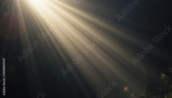 Obraz Illuminating sunbeams breaking through dense forest canopy nature photography tranquil environment ethereal viewpoint