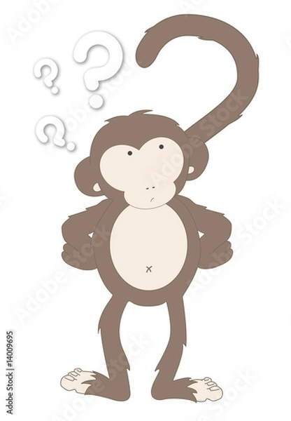 Fototapeta Monkey question