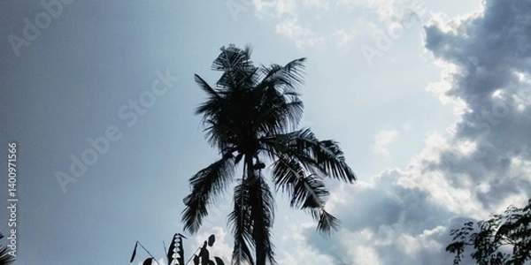 Fototapeta Natural trees evening time caption real live image.jpg