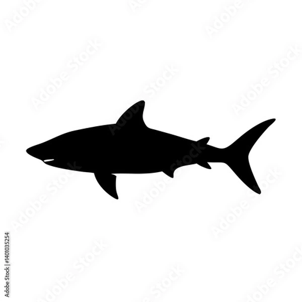 Obraz shark isolated on white background