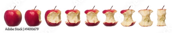 Fototapeta Red apples in progress towards white background